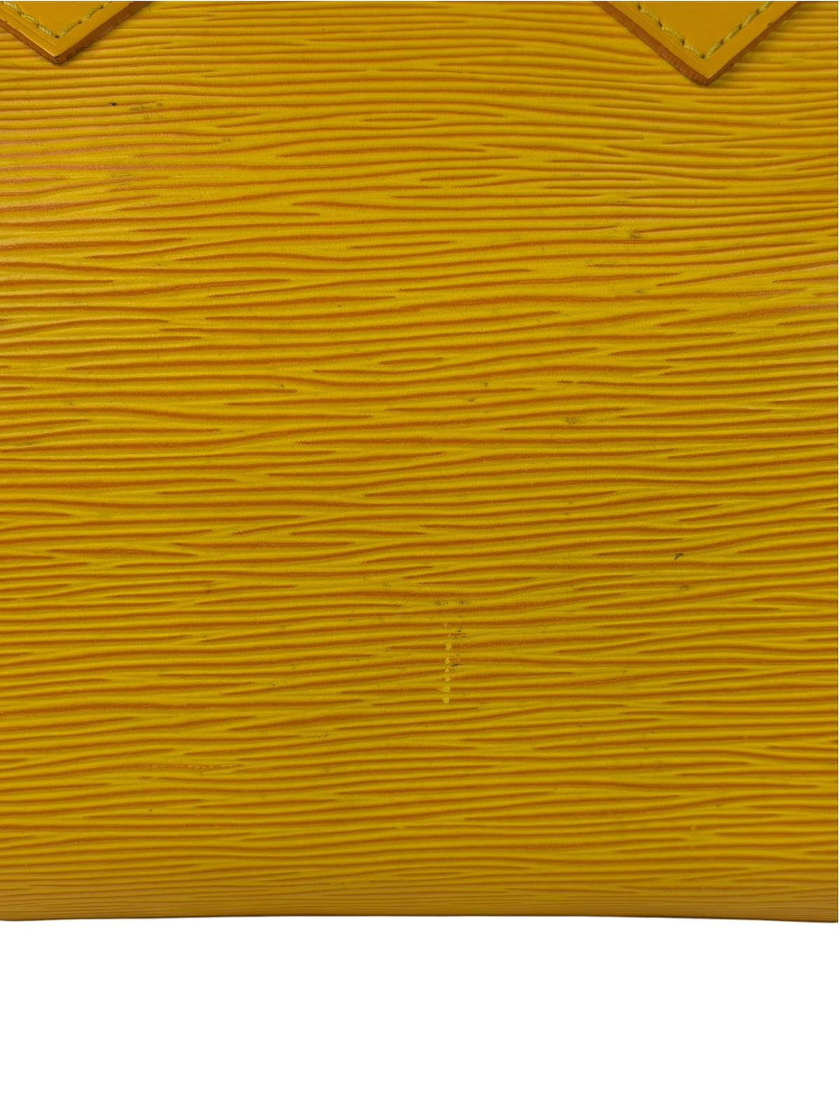 Louis Vuitton Yellow Epi Leather Speedy 25