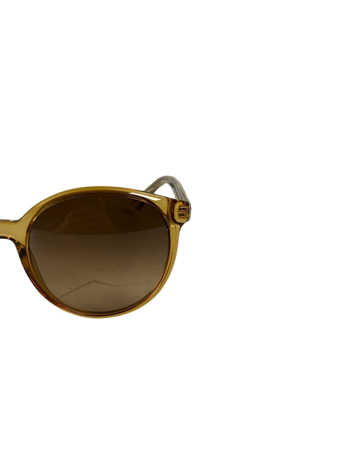 Gucci Brown Translucent GG3697/S Round-To-Oval Sunglasses
