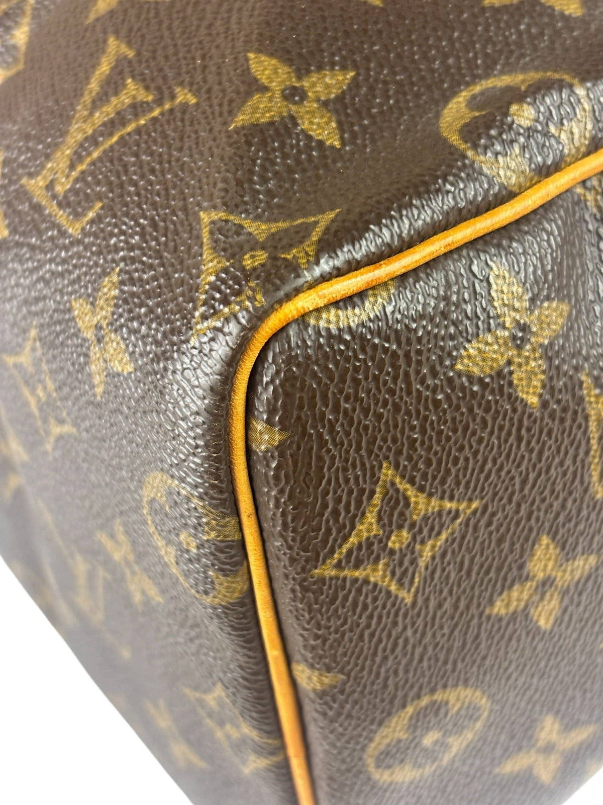 Louis Vuitton Monogram Speedy 25