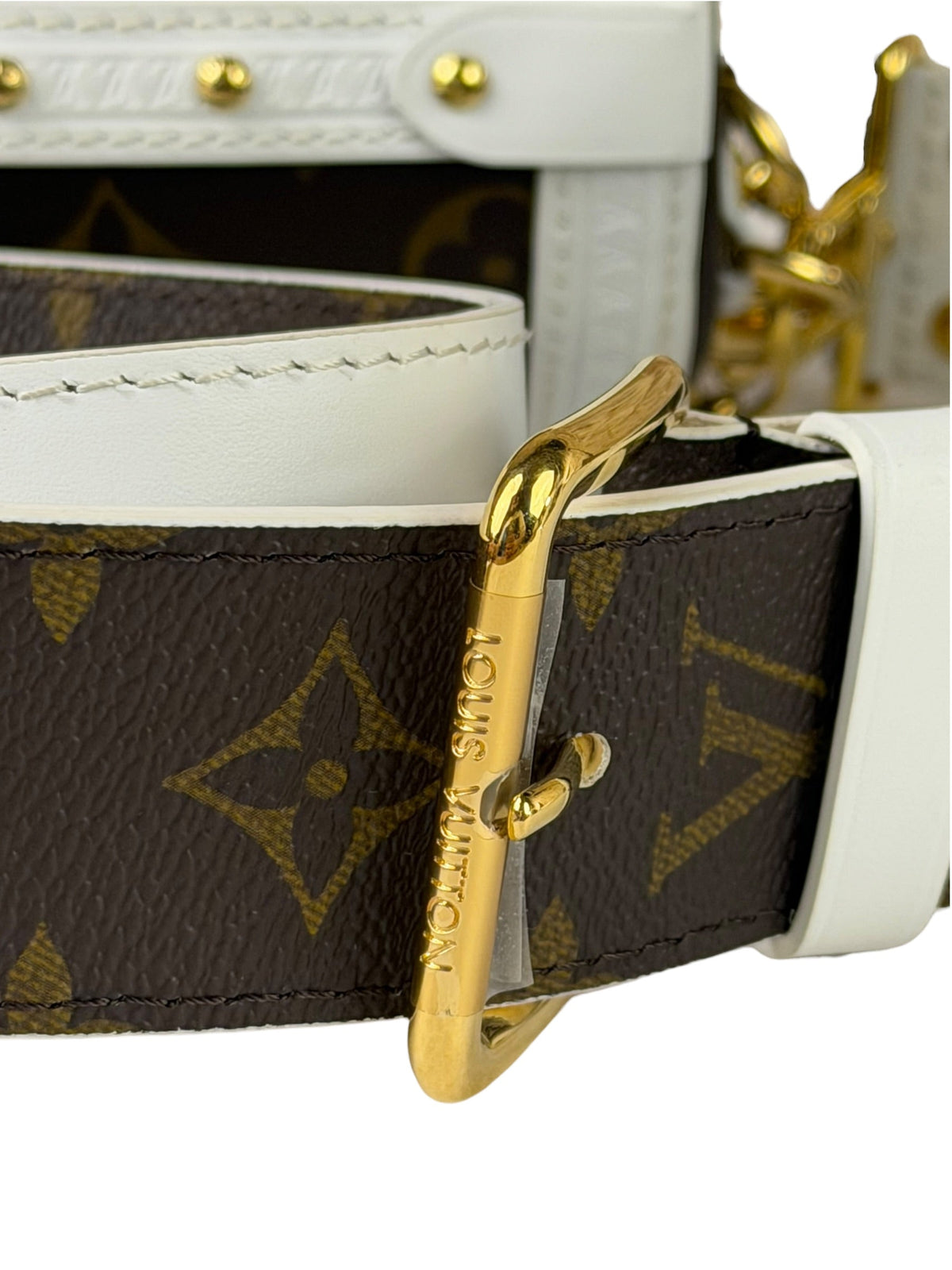 Louis Vuitton Monogram Match Papillon Trunk Two-Way Bag