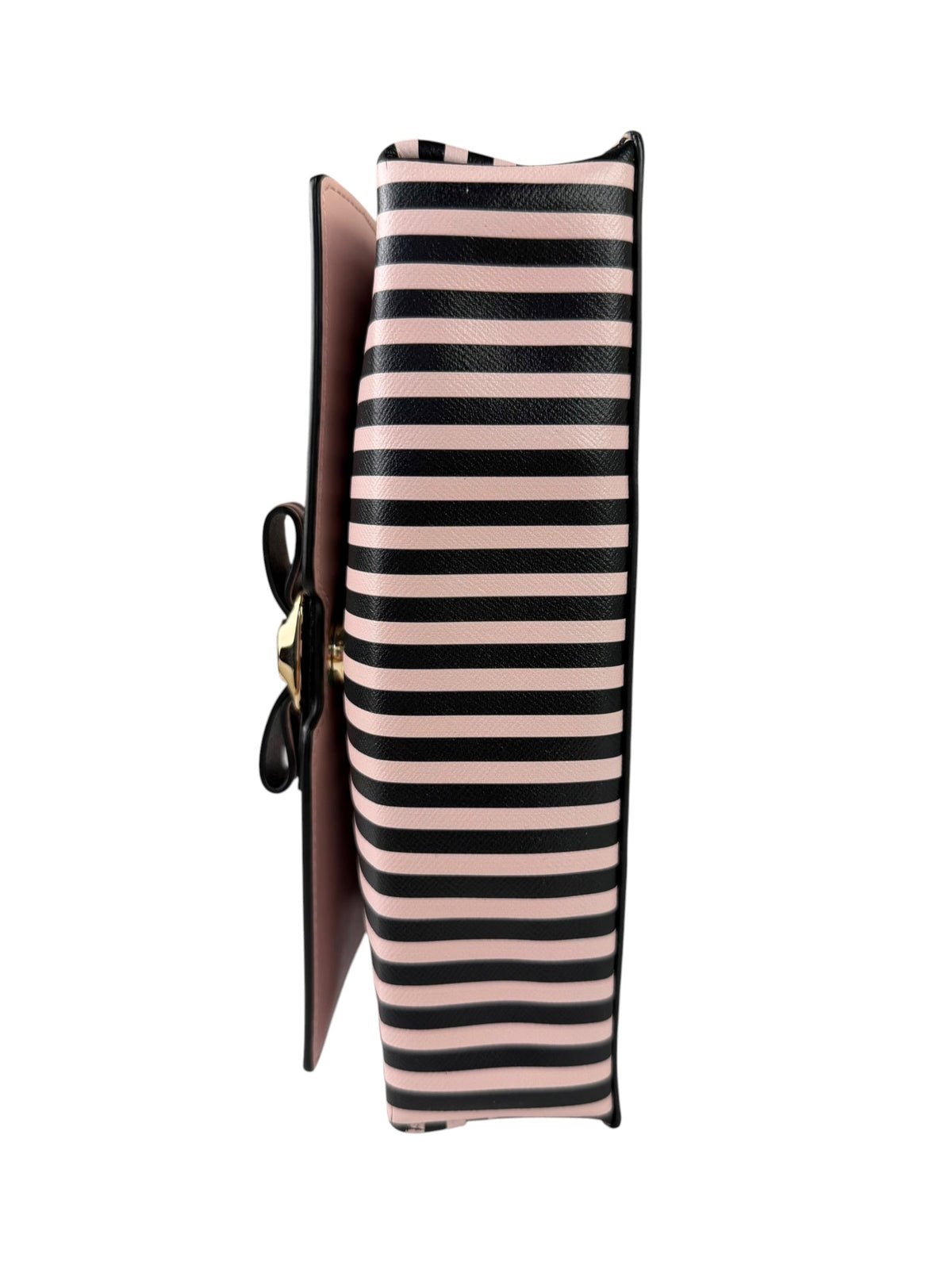 Salvatore Ferragamo Pink/Black Striped Crossbody Bag