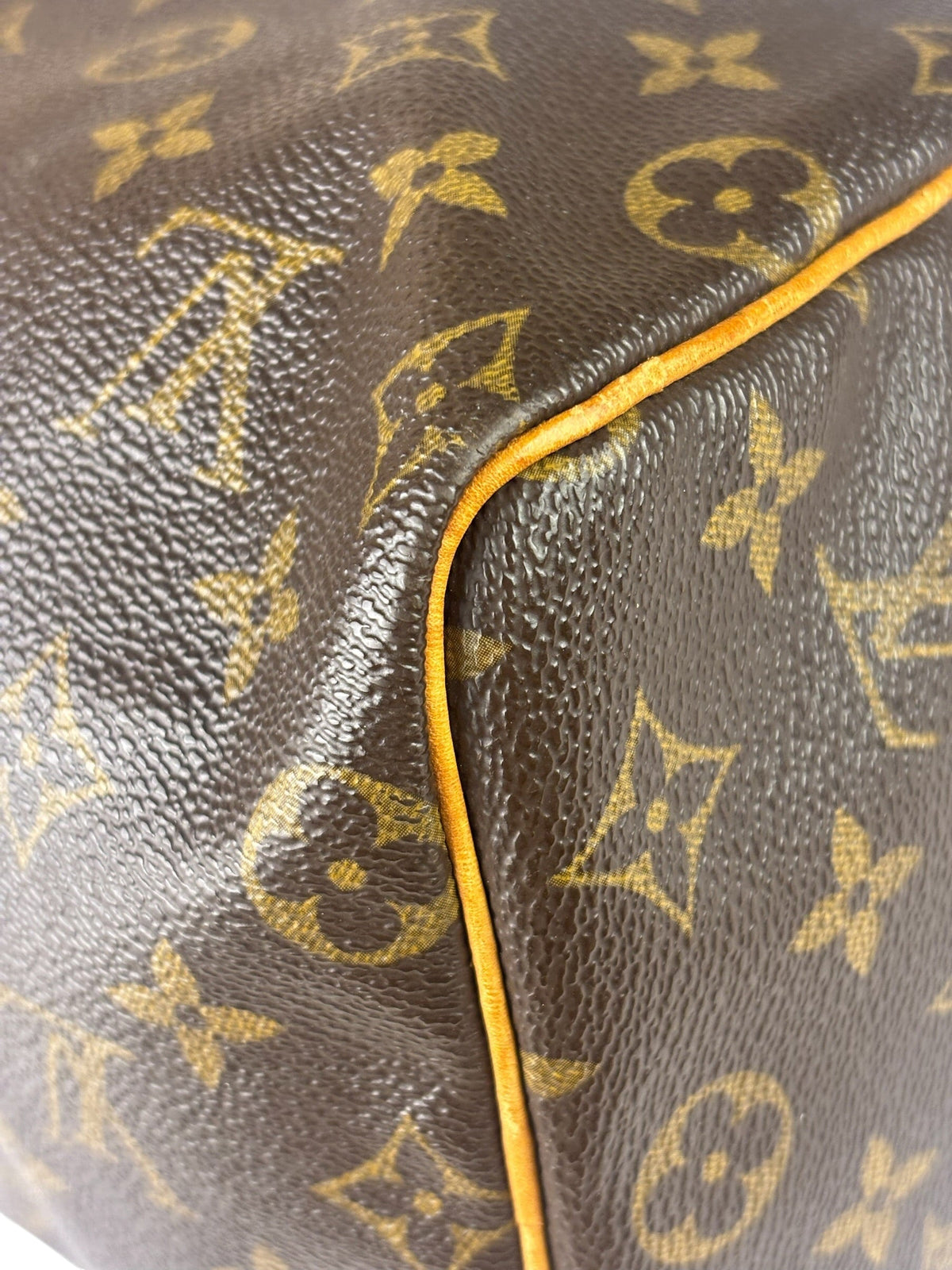 Louis Vuitton Monogram Speedy 25
