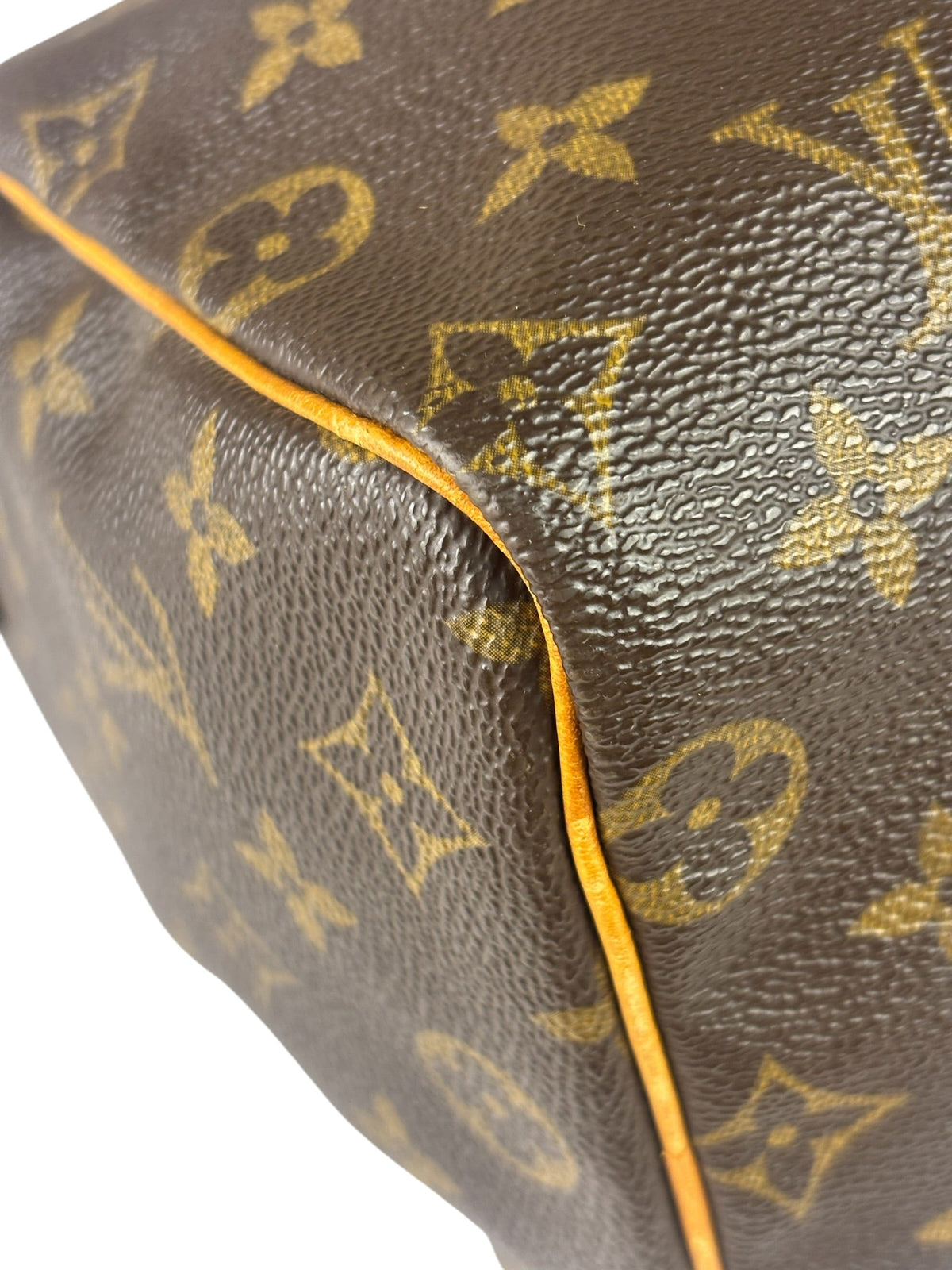Louis Vuitton Monogram Speedy 25