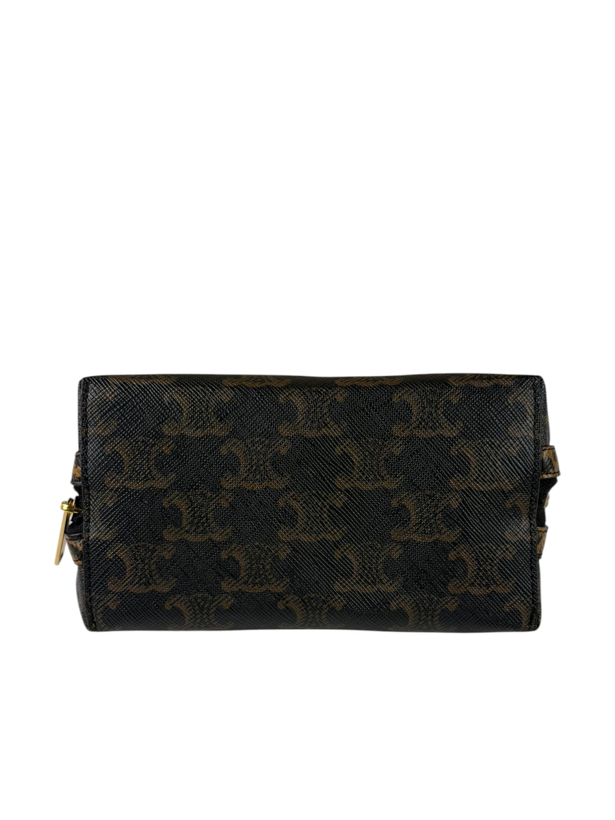 Celine Leopard Print-Trimmed Triomphe Chain Bag